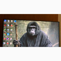 Dell 24inch LED Monitor