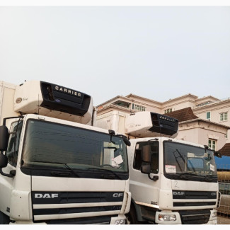 DAF CF Refrigerator Truck