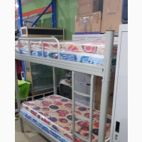 Standard Double Bunk Bed - Brand New