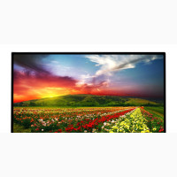 AOC 23 Frameless IPS Monitor for Sale
