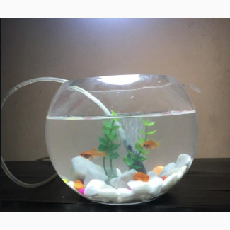 Fishbowl Kit - 2 Small Fishes, Battery Airpump, Decorations