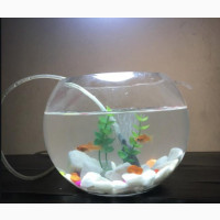 Fishbowl Kit - 2 Small Fishes, Battery Airpump, Decorations