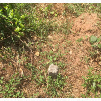 Residential Land for Sale in Benin City - 100by100