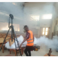 Pest Control Services