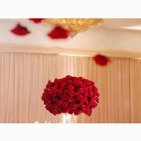 Stress-Free Event Planning and Decor Services