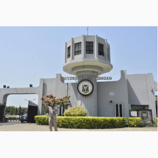 University of Ibadan (UI) 2024/25 Pre-Degree, Jupeb (PGD) Application Form Is Out Now