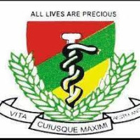 Nigerian Army College of Nursing Sciences, Yaba, Lagos State 2025/2026 Admission Form is