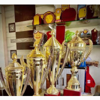 Original Gold Trophy