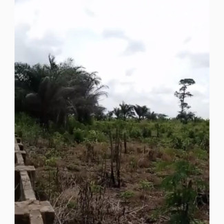 6 Plot for Sale