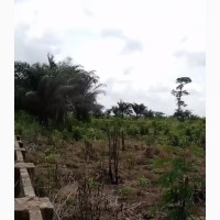 6 Plot for Sale