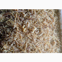New Leaf Agric