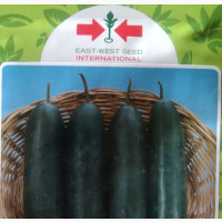 Mona Lisa F1 Cucumber Seeds - High Yielding Variety for Nigerian Market