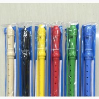 Recoder/Flute