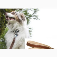 CC COLLAR WAUDOG Large Soft Leather Leash (W-25mm, L-122cm)