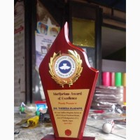 Wooden Award Plaque Y7