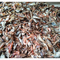 Mixi Mixi Fish/Mix Mix Fish