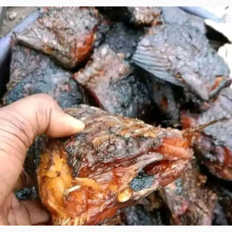 100 Pieces of Mangala Fish
