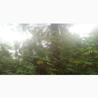 Affordable Land for Sale in Eleko, Ibeju Lekki With C of O