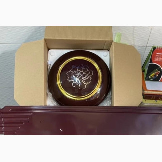 Solar Ceiling Fan