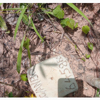 75 Plots of Land for Sale At