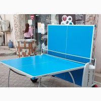 Giant Dragon Outdoor Table-Tennis Board - Full Accessories Included