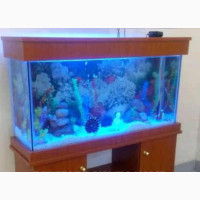 Aquarium Fishes Tank 4ft*25*12