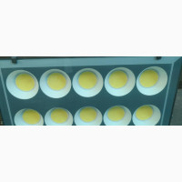500W Flood Light - Brighten Up Your Environment