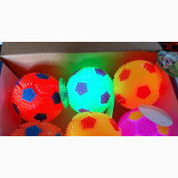 Dog Pet Ball Toy