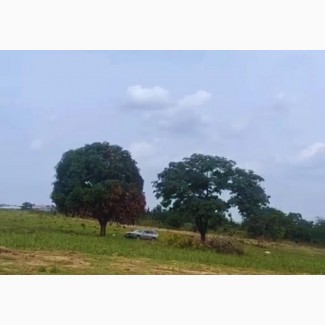 Buy Plot of Land 60 by 100 at Pinnacle Estate, Enugu State