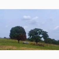 Buy Plot of Land 60 by 100 at Pinnacle Estate, Enugu State