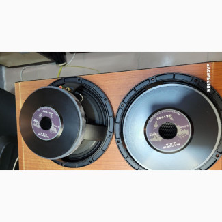 Mackie 10 Inches Naked Speaker