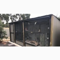 Outdoor Avairy