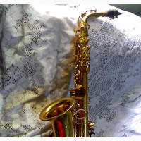 Premier Alto Saxophone - Almost New