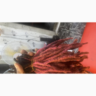 Well Treated Natural Dreadlock for Sale