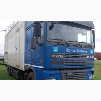 Daf 95 XF With Injection Pump and Low Kilometers