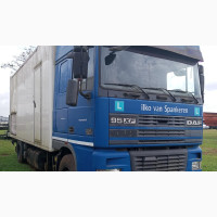 Daf 95 XF With Injection Pump and Low Kilometers