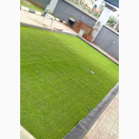 Quality Turf Grass Available at Affordable Prices
