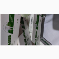 Artemisia Annus Toothpaste