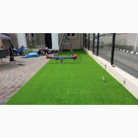 25mm Artificial Grass