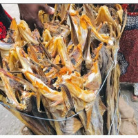Stockfish Available - Wholesale and Retail