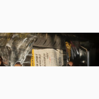 DUNLOP Tyre 235/55/R20 for GX460 Etc