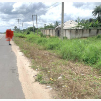 4 Plots of Land for Sale Along Enugu-Aba Expressway