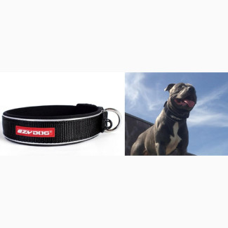 Ezydog Neoclassic Collar Strong Reflective EXTRA LARGE BLACK