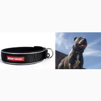 Ezydog Neoclassic Collar Strong Reflective EXTRA LARGE BLACK