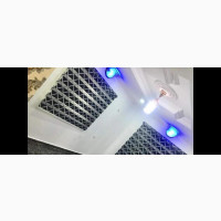 Day and Night Window Blinds
