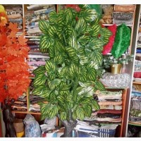 Pot Flower