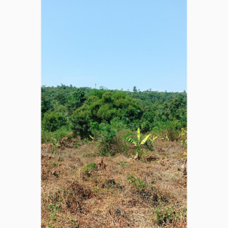 Green and Fertile Land for Sale