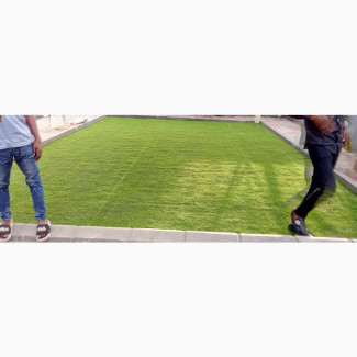 Get Quality Turf Green Synthetic Grass