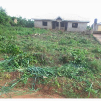 Plots Of Land For Sale At Royal Estate Isashi