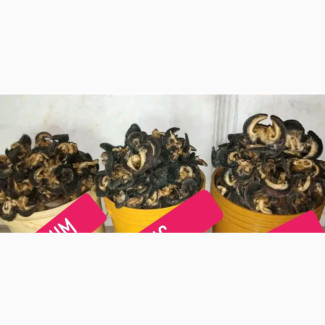 Dried Snails for Sale